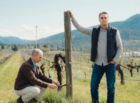 A Bitter Vintage: Oregon Winery Feud Ends in Record Fines Over "AI Slop"