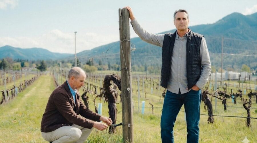 A Bitter Vintage: Oregon Winery Feud Ends in Record Fines Over "AI Slop"